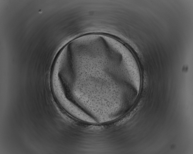 X0000095531513200801041234