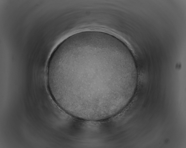 X0000095531514200801041234