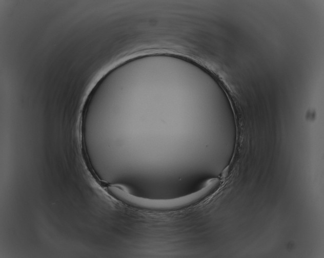 X0000095531516200801041234