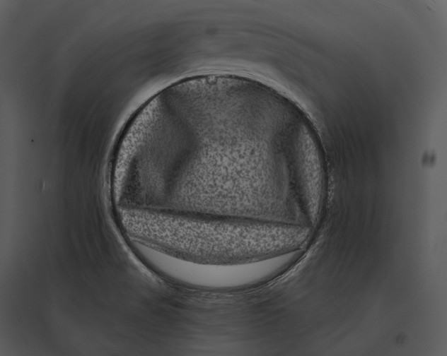 X0000095531517200801041234