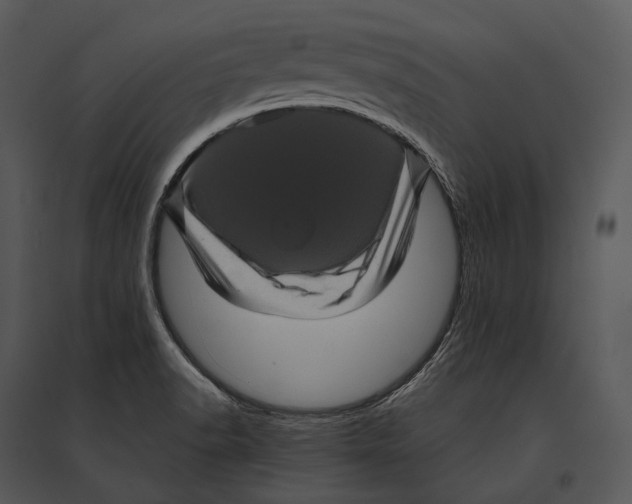 X0000095531518200801041234