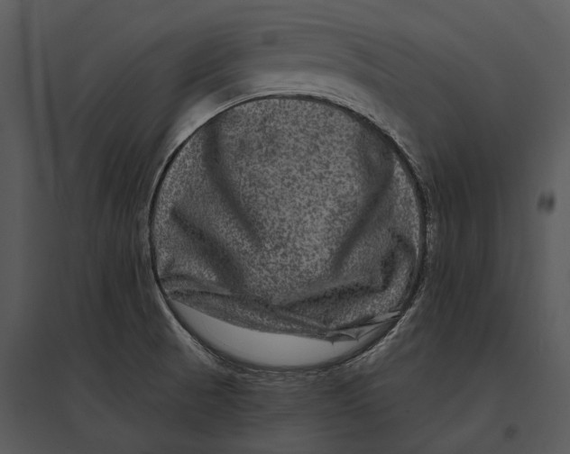 X0000095531521200801041234