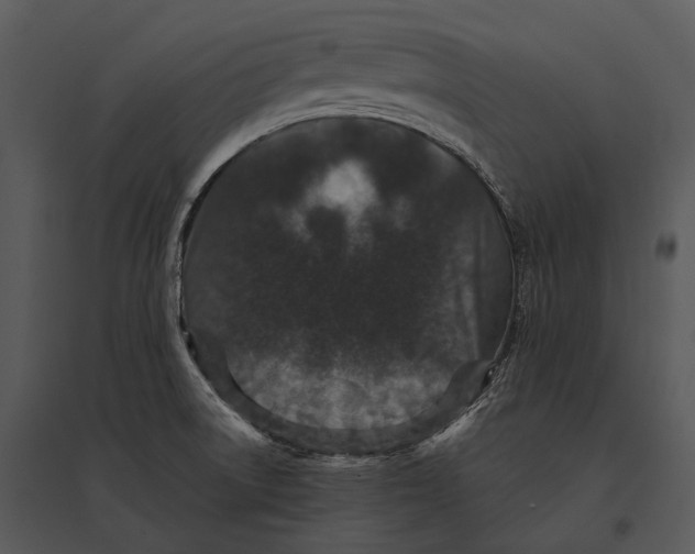 X0000095531522200801041234