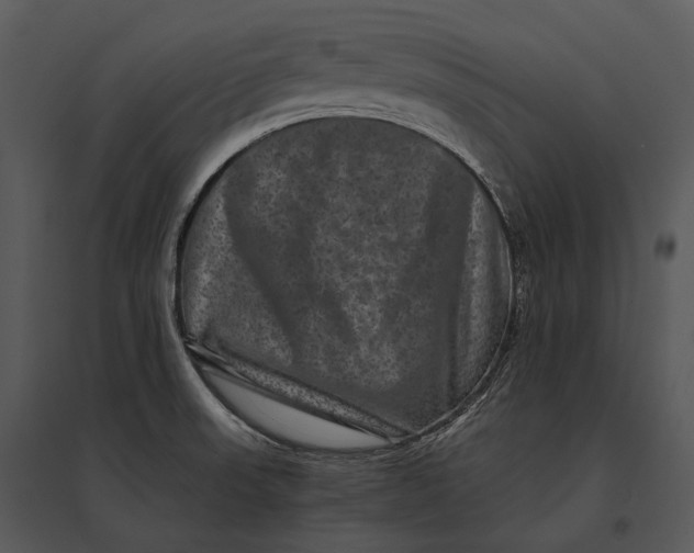 X0000095531523200801041234