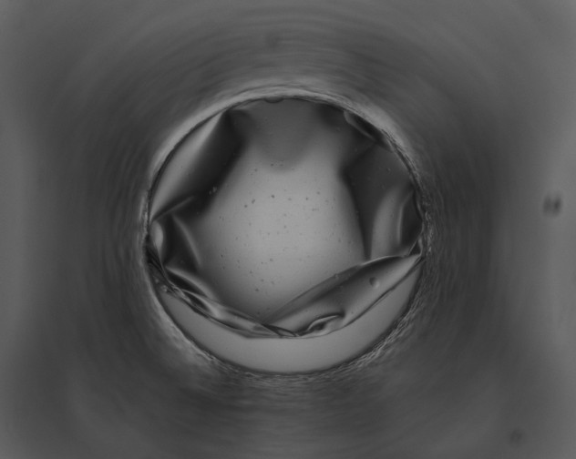 X0000095531524200801041234