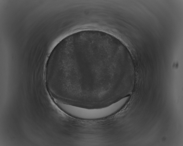 X0000095531527200801041234