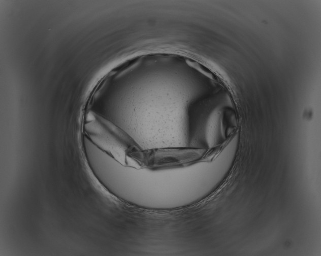 X0000095531528200801041234