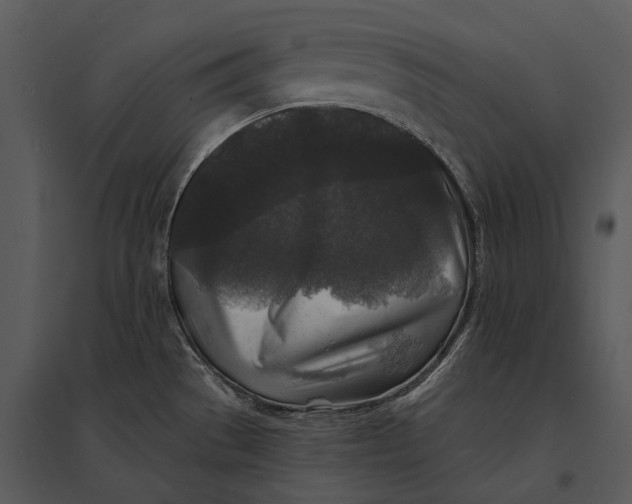 X0000095531529200801041234