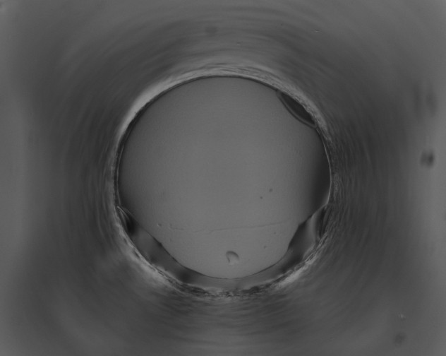 X0000095531530200801041234