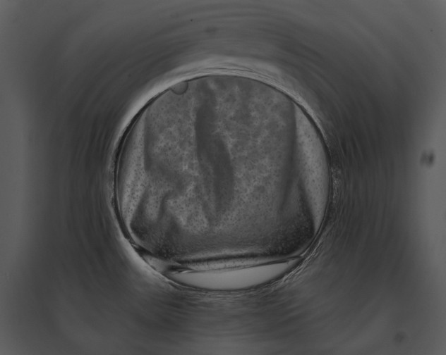 X0000095531531200801041234