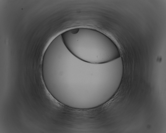 X0000095531532200801041234