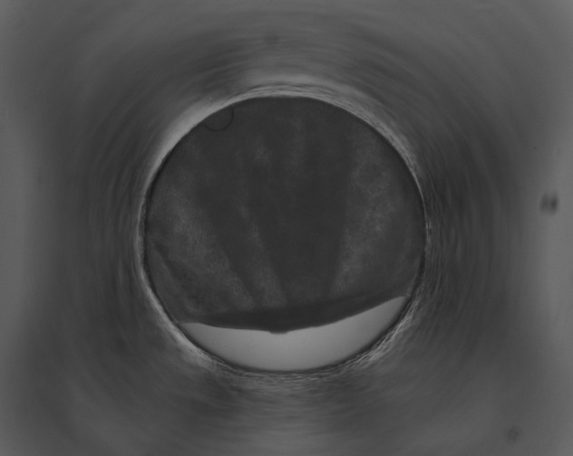 X0000095531533200801041234