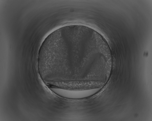 X0000095531534200801041234