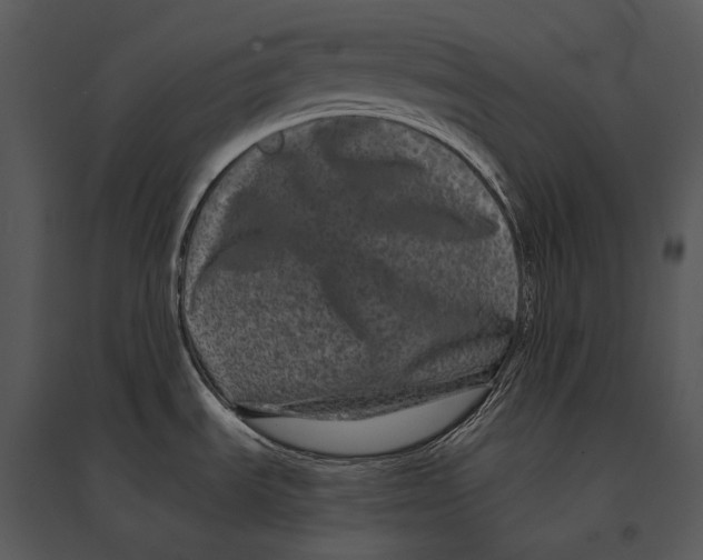 X0000095531535200801041234