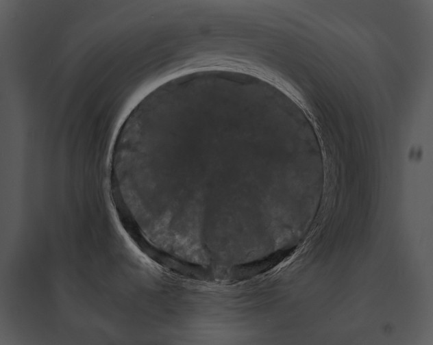 X0000095531536200801041234