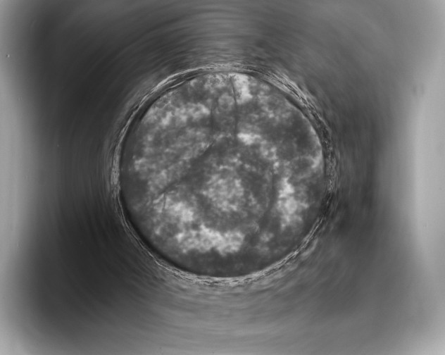 X0000095530002200801111422