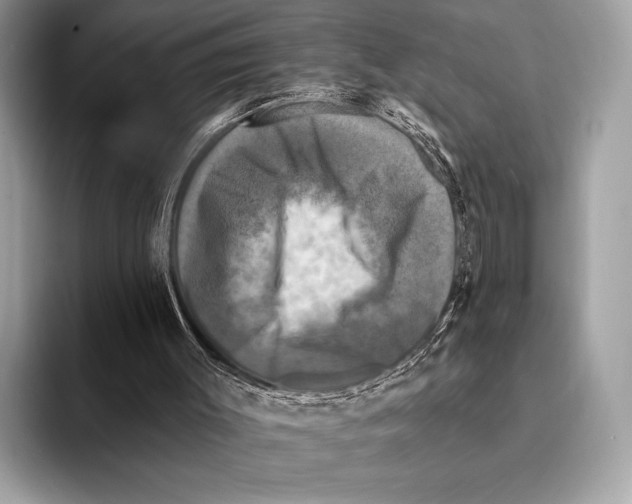 X0000095530003200801111422