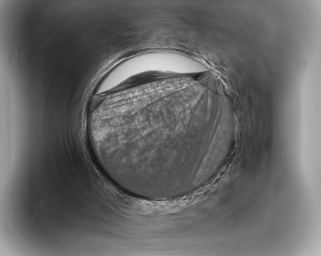 X0000095530005200801111422