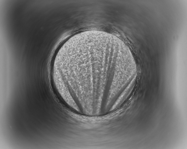 X0000095530006200801111422