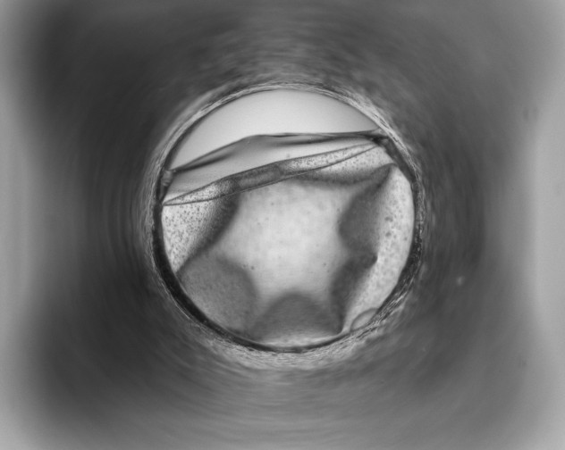 X0000095530007200801111422