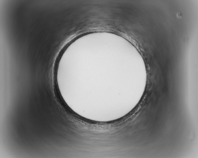 X0000095530008200801111422