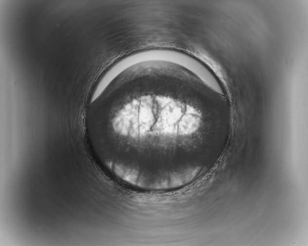 X0000095530009200801111422