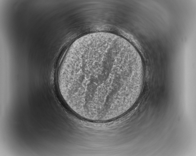 X0000095530010200801111422