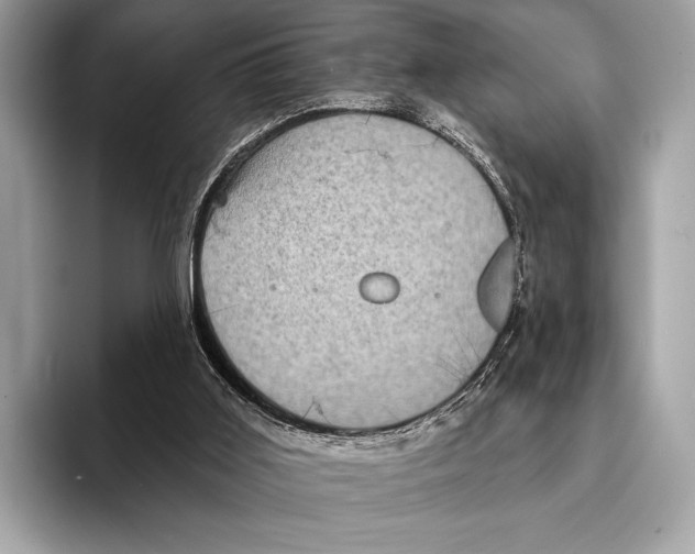 X0000095530011200801111422