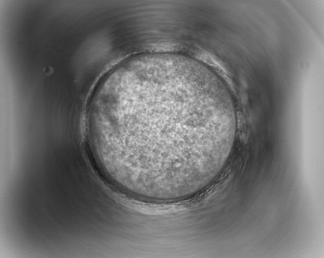 X0000095530012200801111422