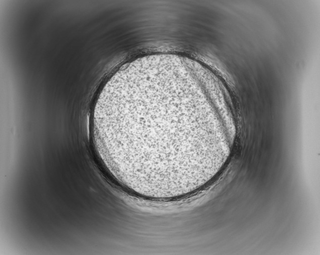 X0000095530014200801111422