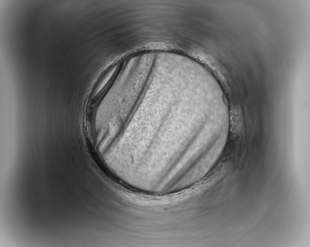 X0000095530015200801111422