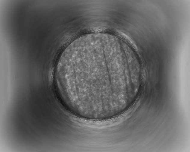 X0000095530018200801111422