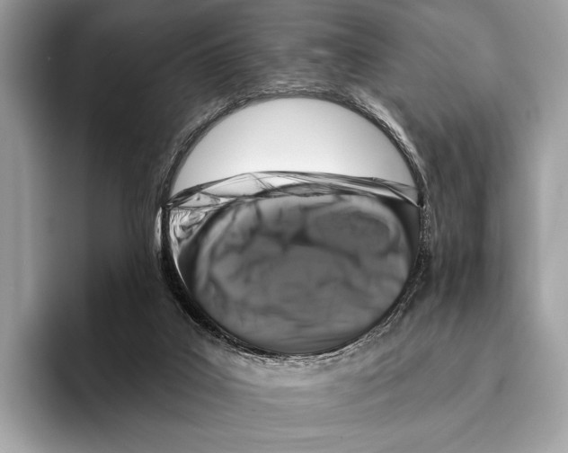 X0000095530019200801111422