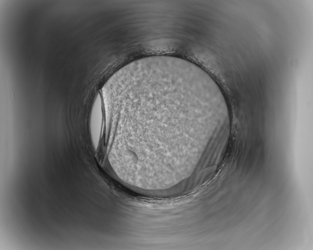 X0000095530021200801111422