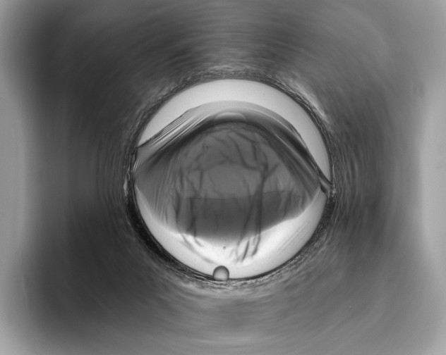 X0000095530023200801111422