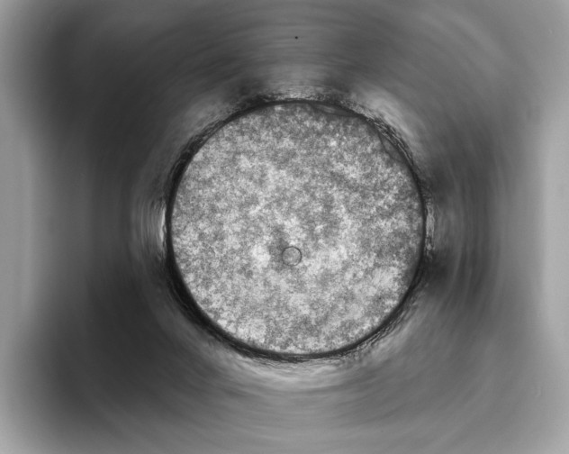 X0000095530024200801111422