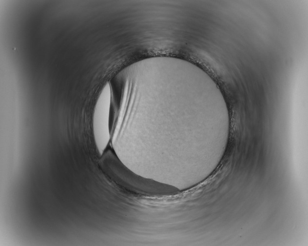 X0000095530025200801111422