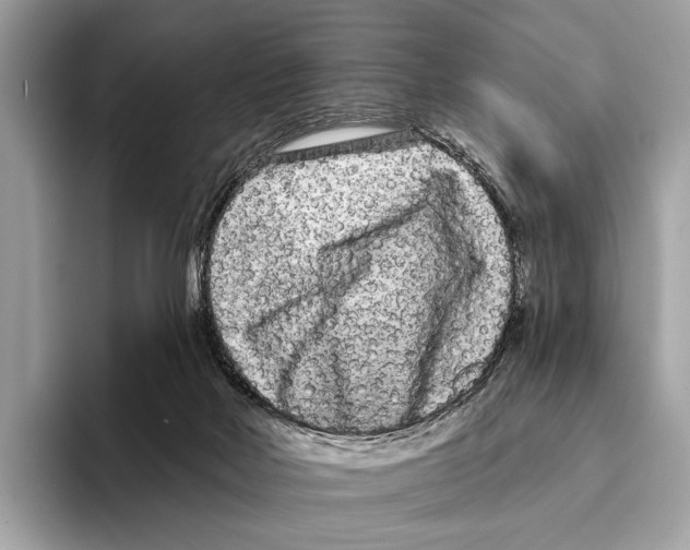 X0000095530026200801111422