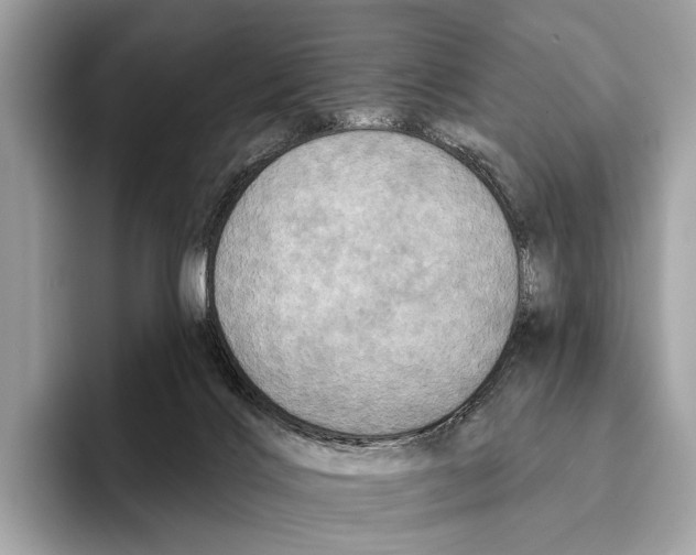 X0000095530028200801111422