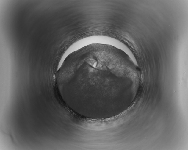 X0000095530029200801111422