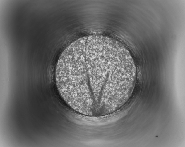 X0000095530030200801111422