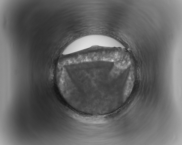 X0000095530032200801111422