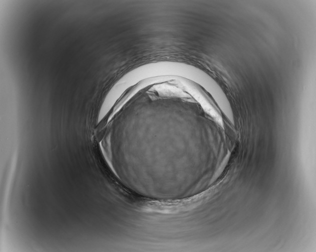 X0000095530033200801111422