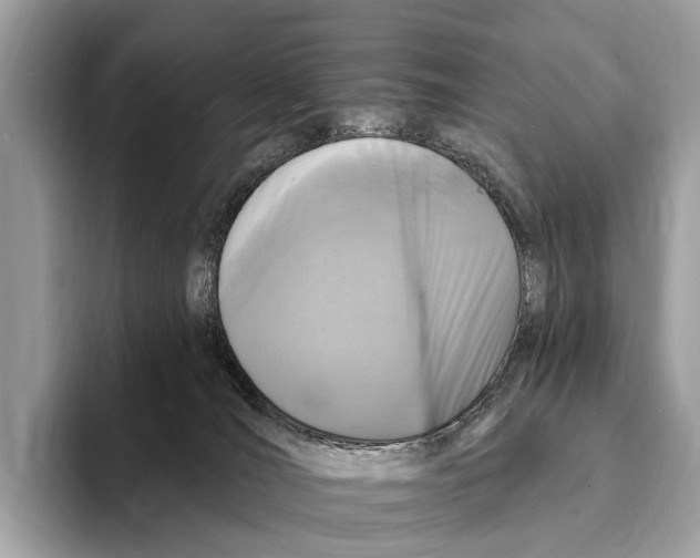 X0000095530036200801111422