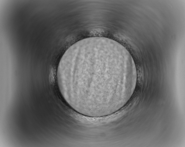 X0000095530038200801111422