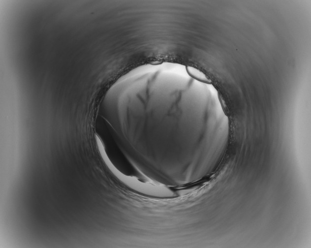 X0000095530039200801111422