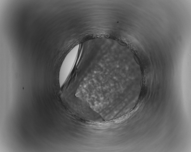 X0000095530041200801111422