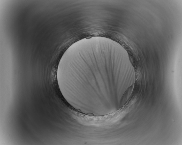 X0000095530043200801111422