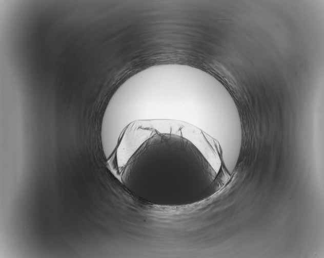 X0000095530045200801111422