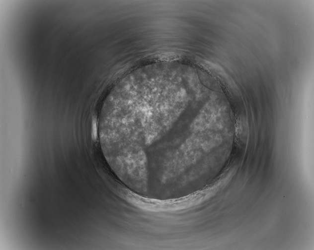 X0000095530046200801111422